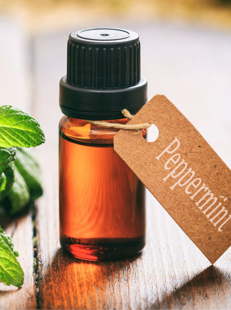 peppermint oil for bigger lips